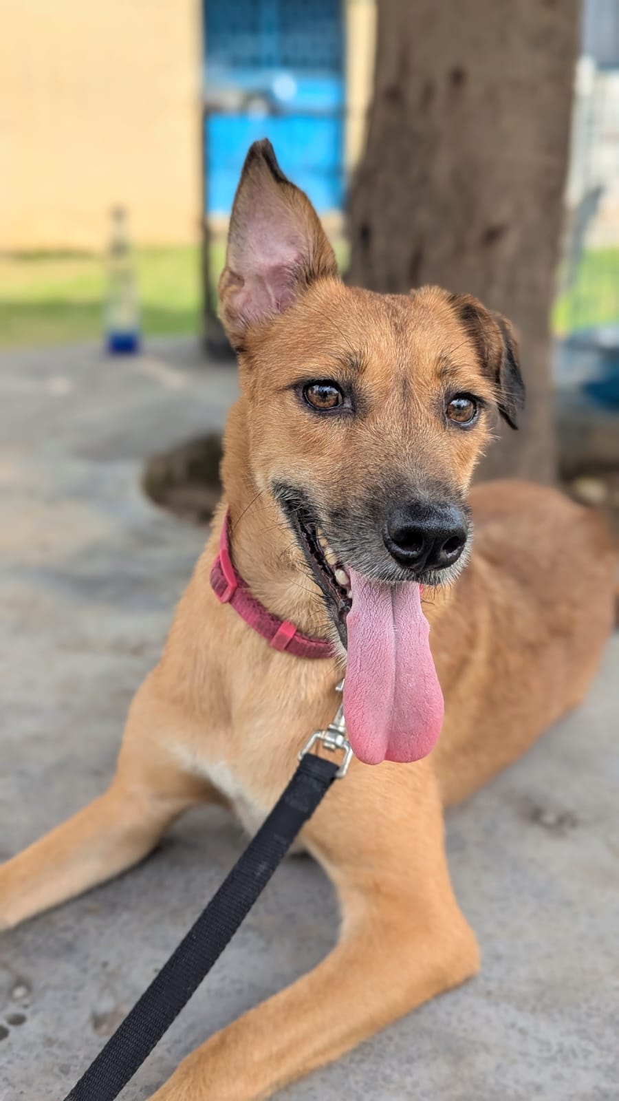 Lucy