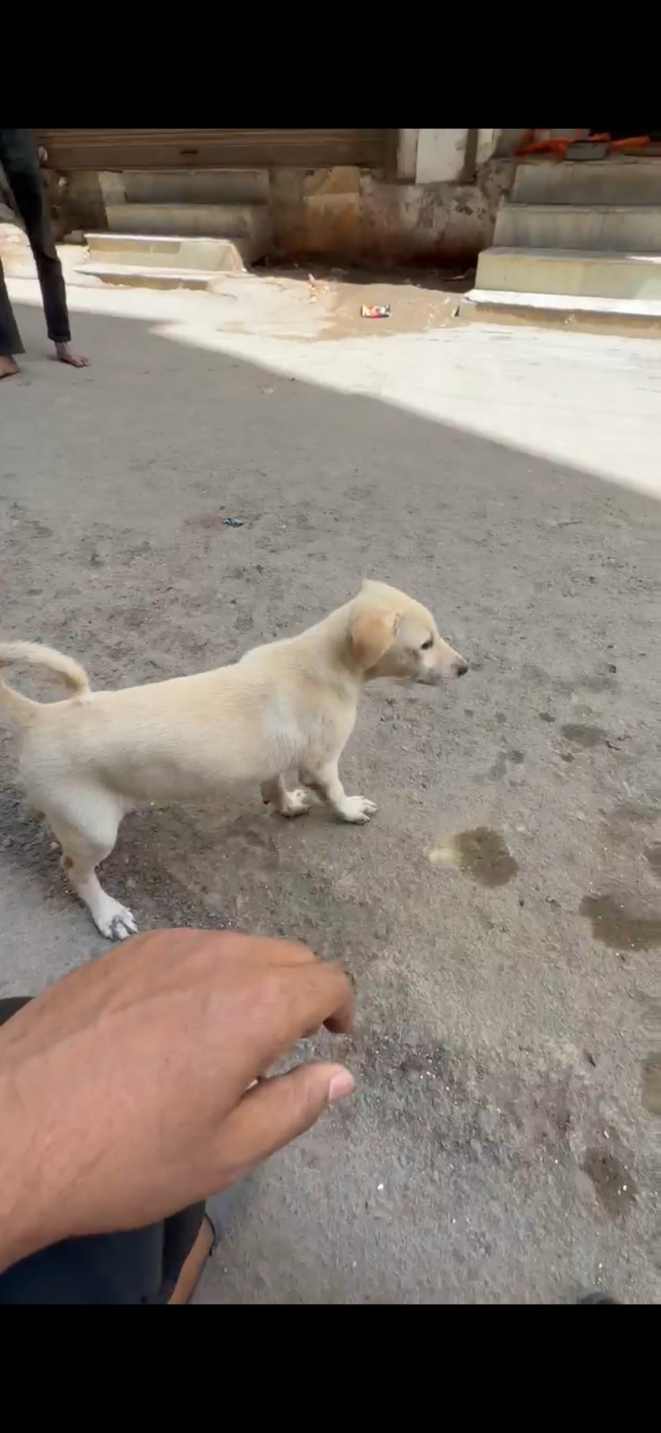 Charlie