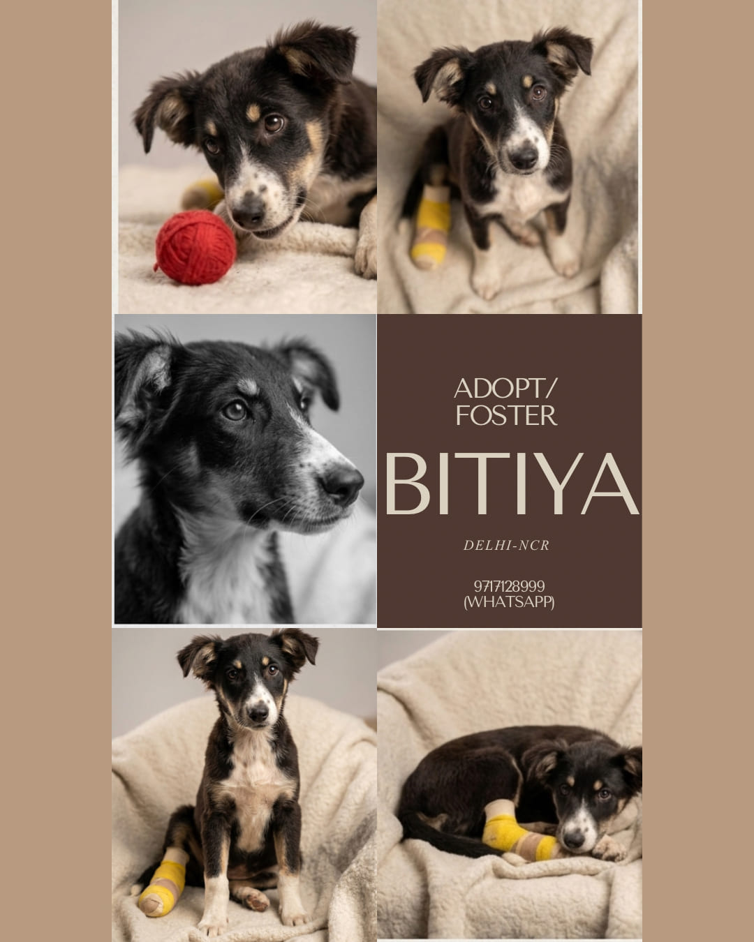 Bitiya