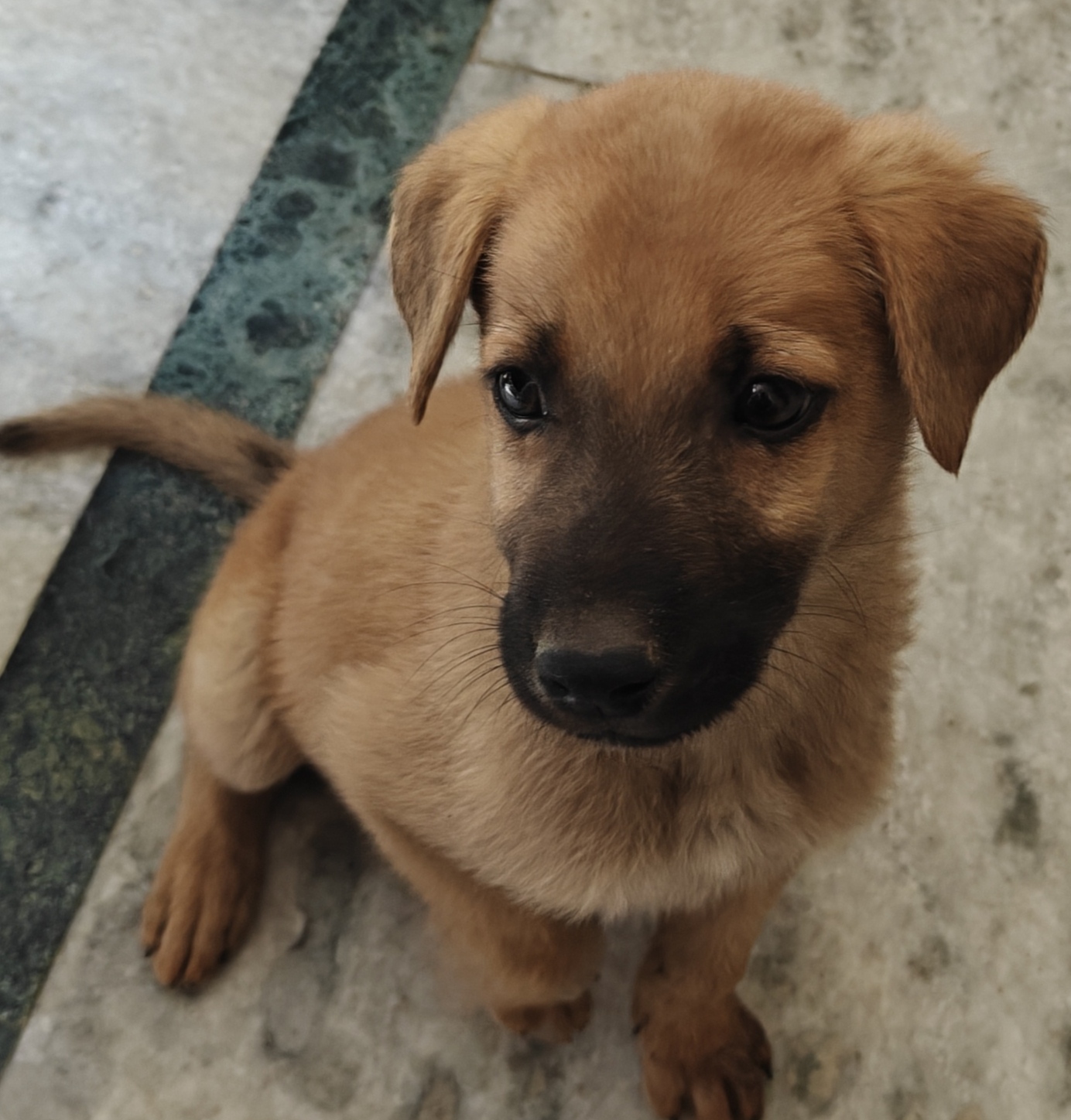Coco