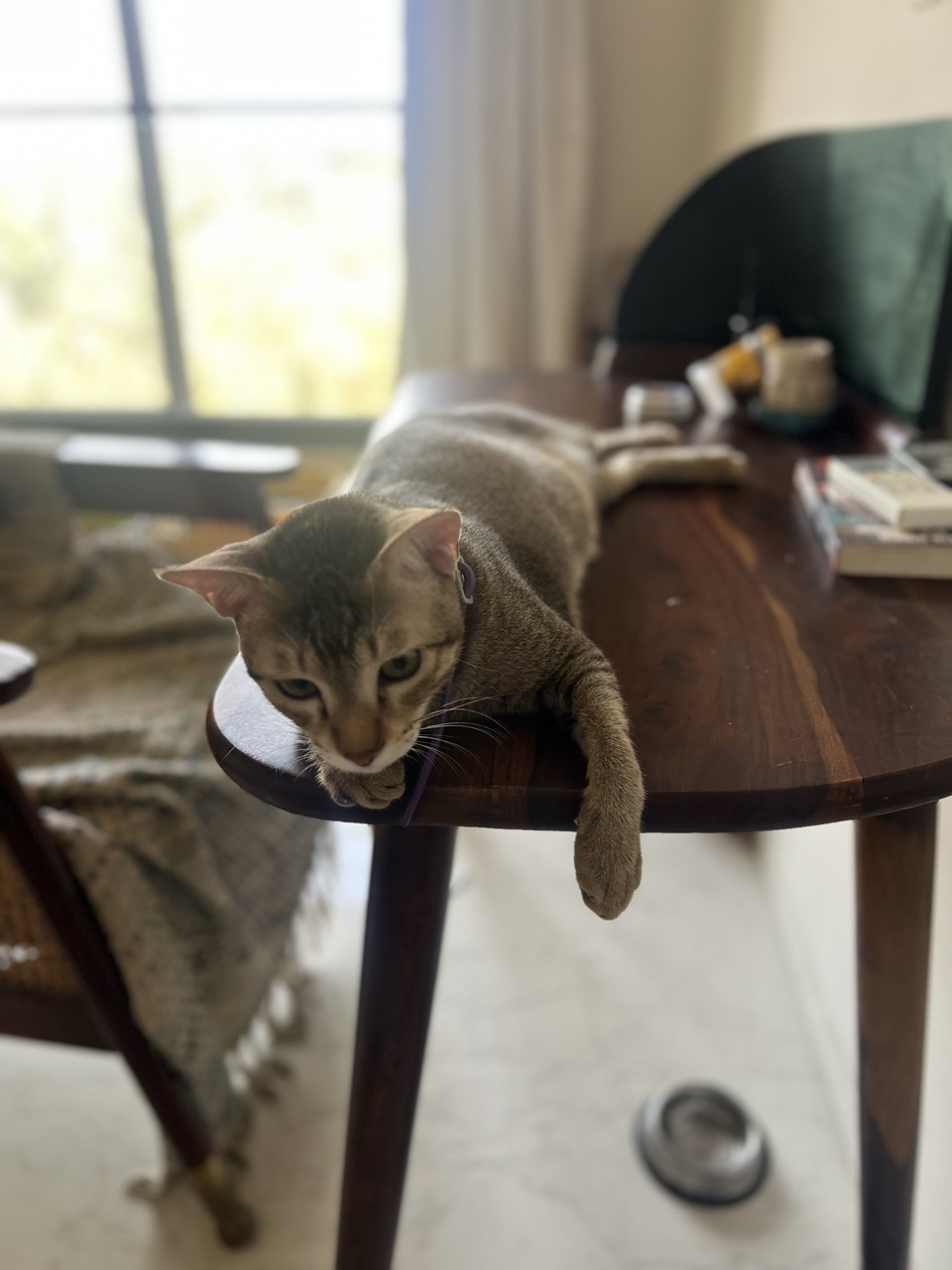 Tuni