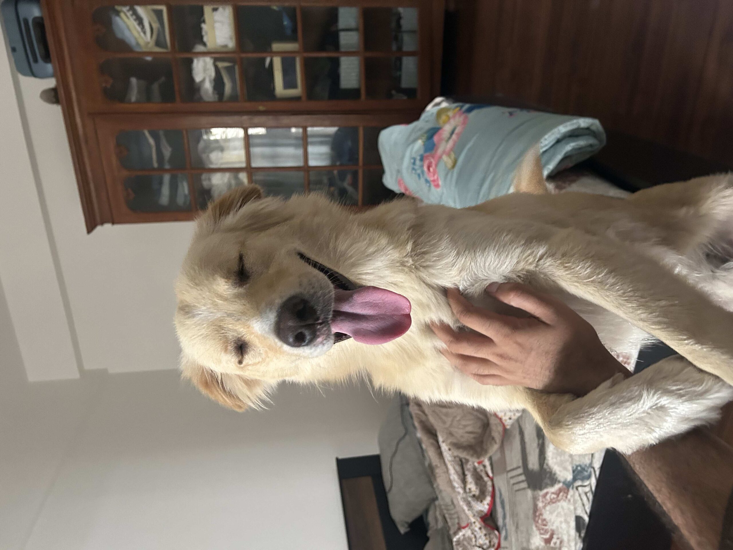 Doofus
