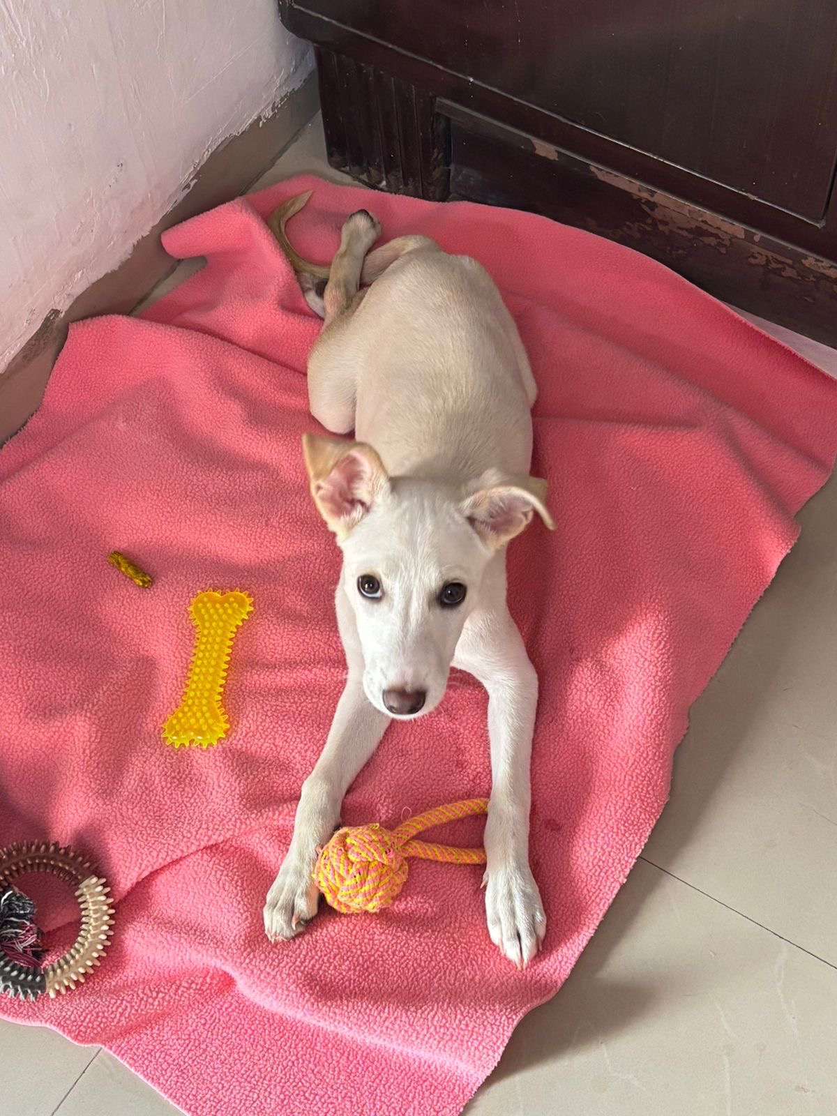 Riya