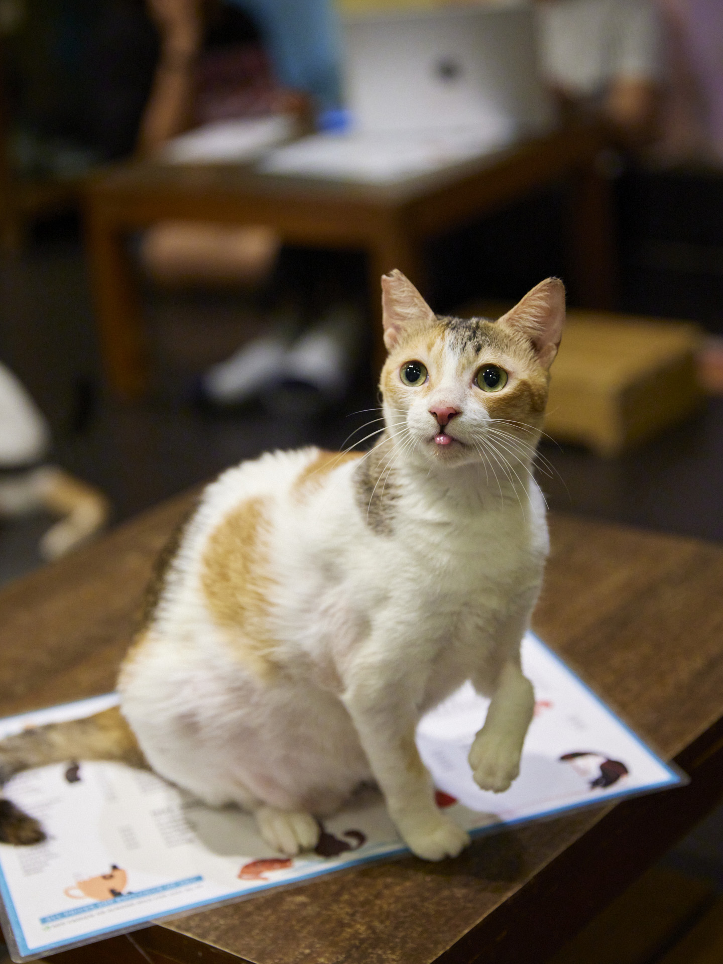 Eclair
