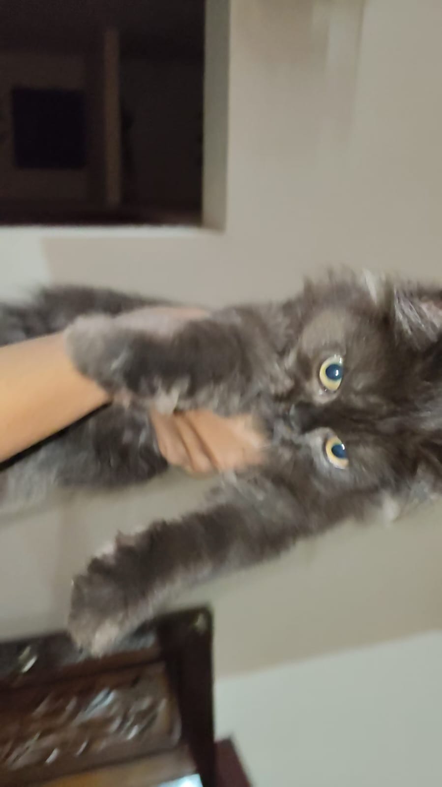 Axel