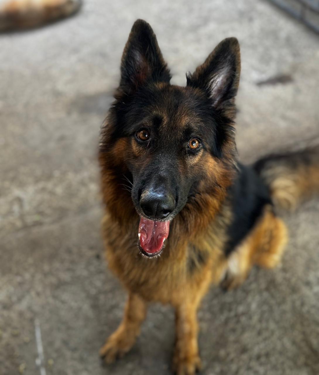 Leo