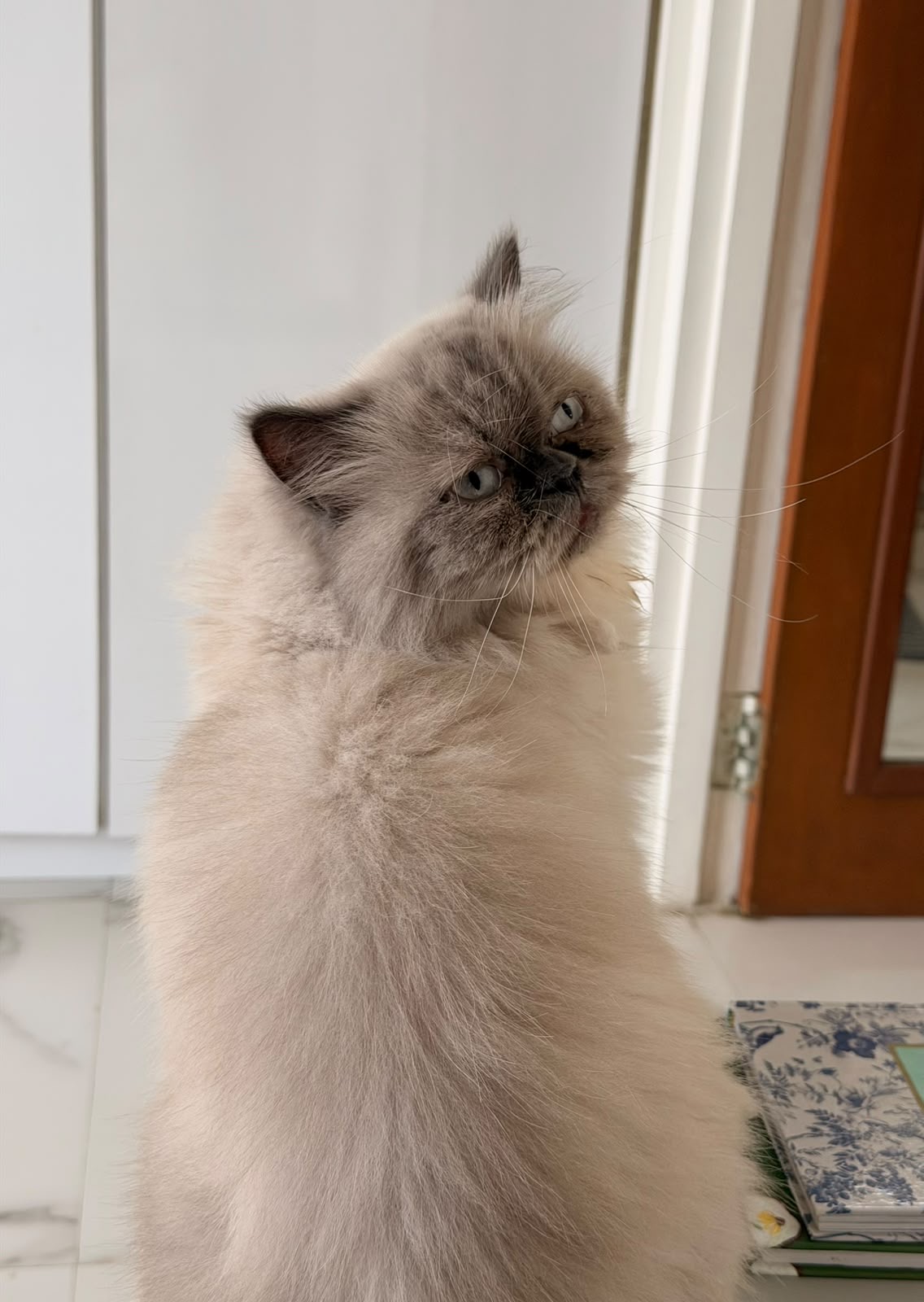 Simone