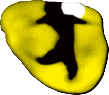 Cat icon