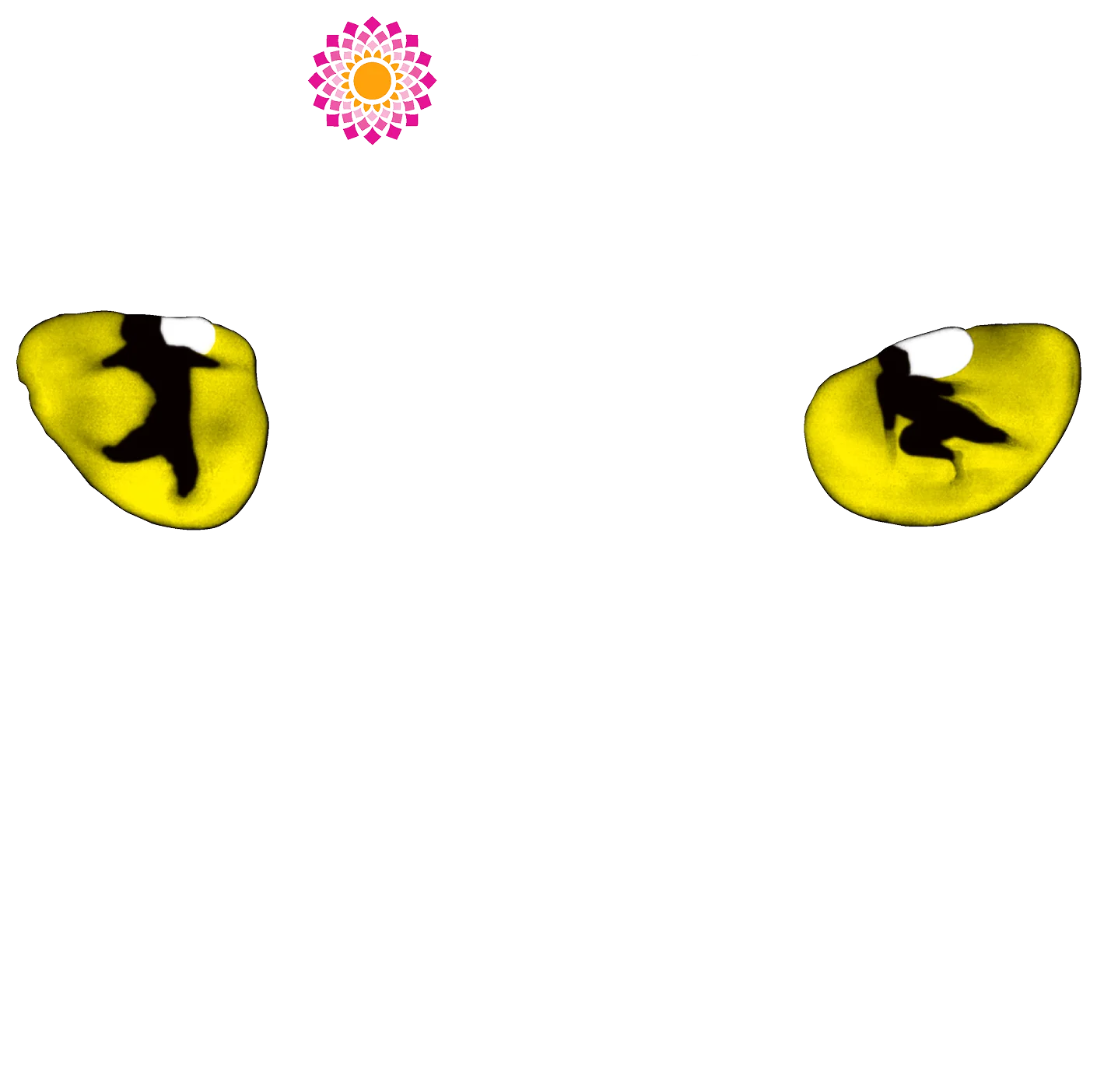 CATS Musical