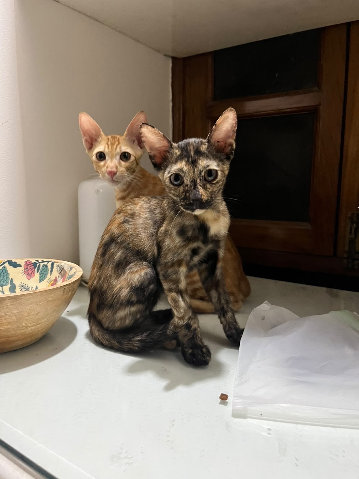 Keenu and Mirchi