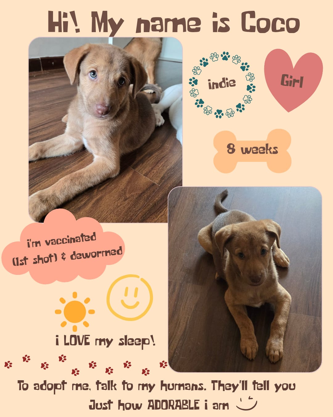 Coco