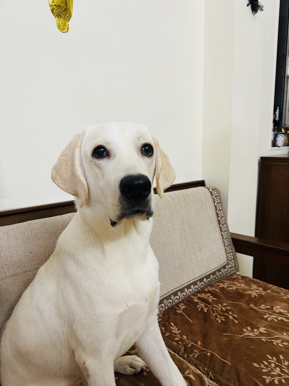Charlie