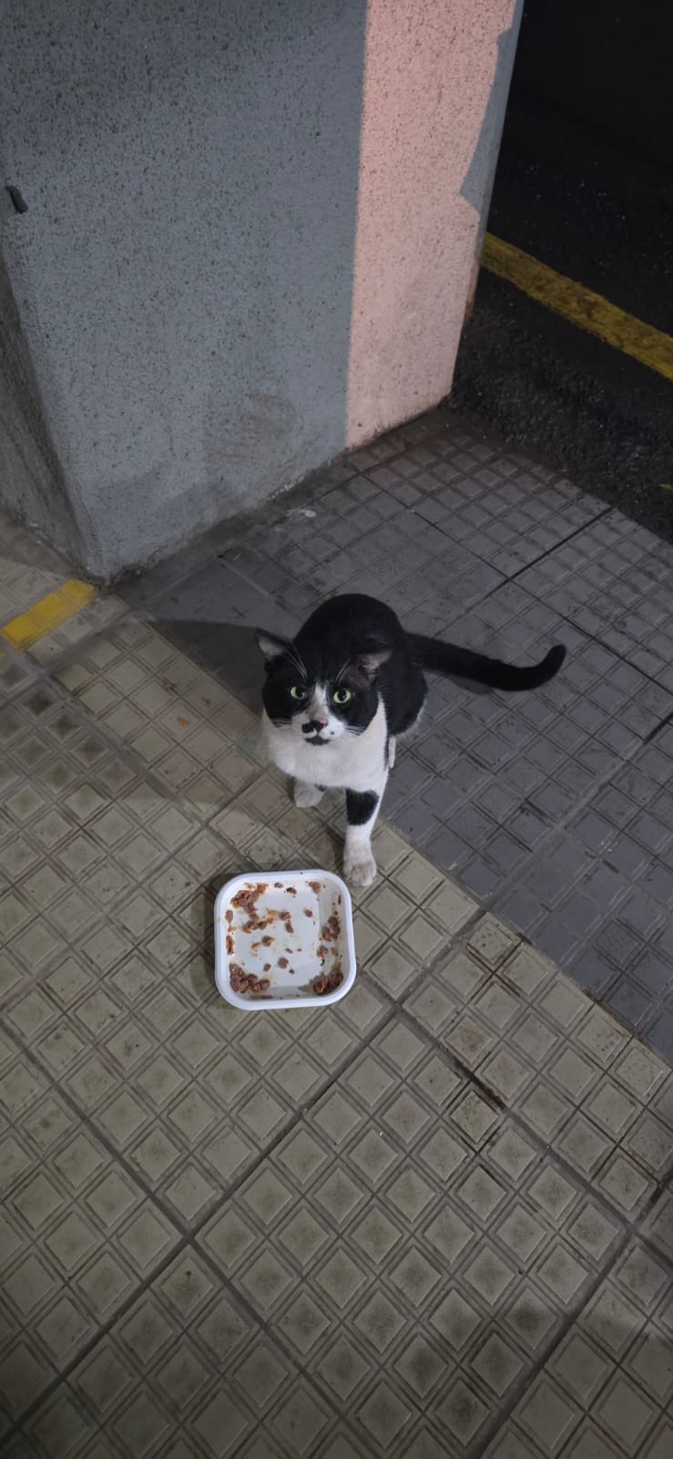 Oreo