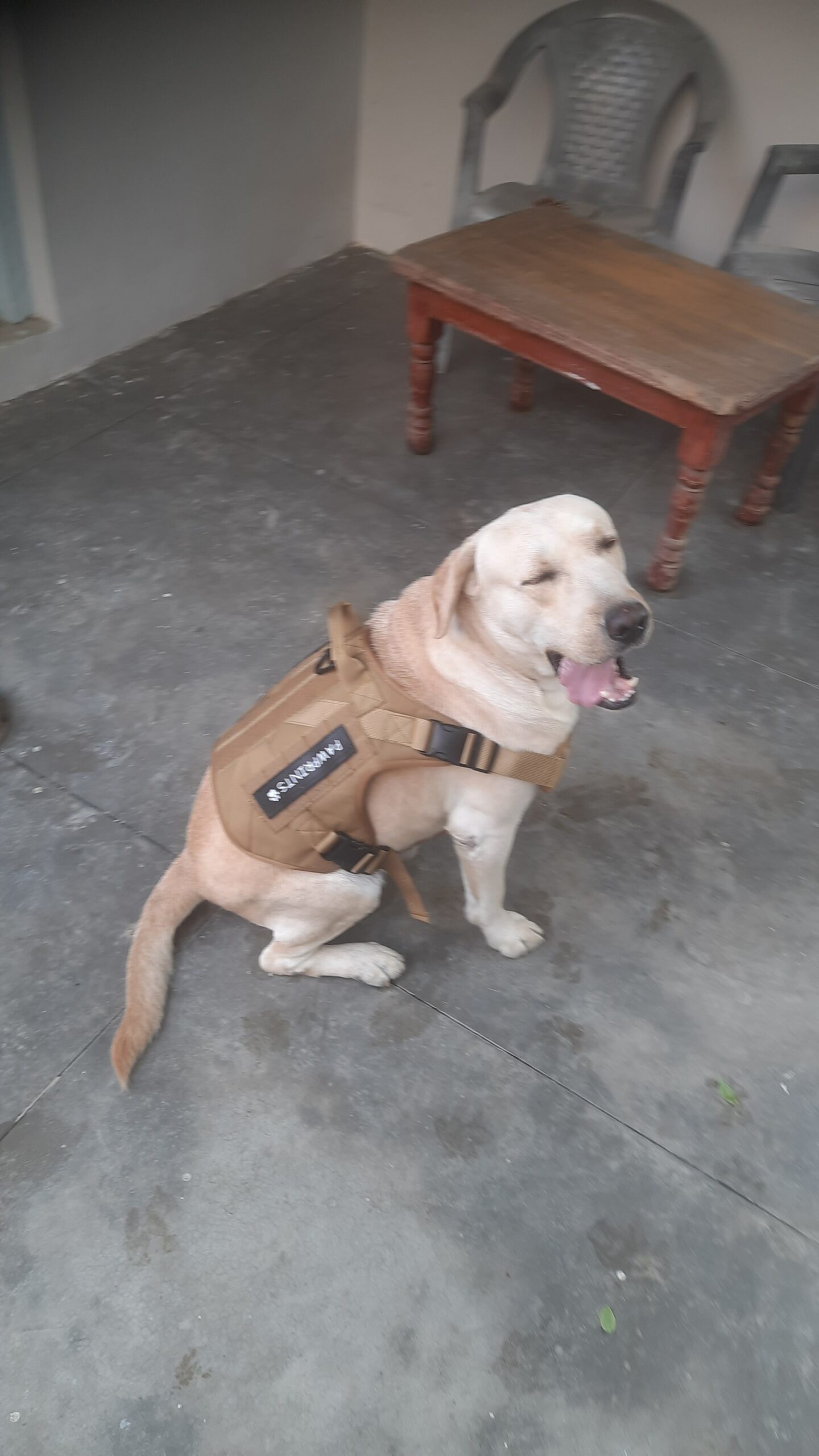Pumba