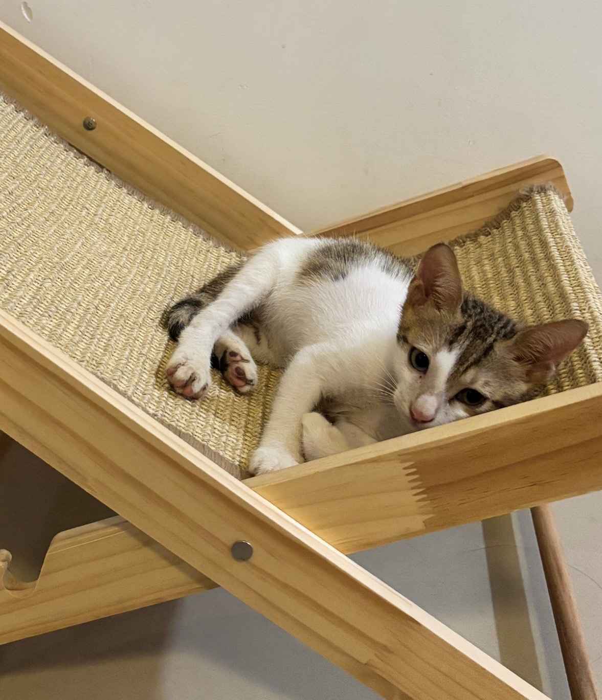 Kiki