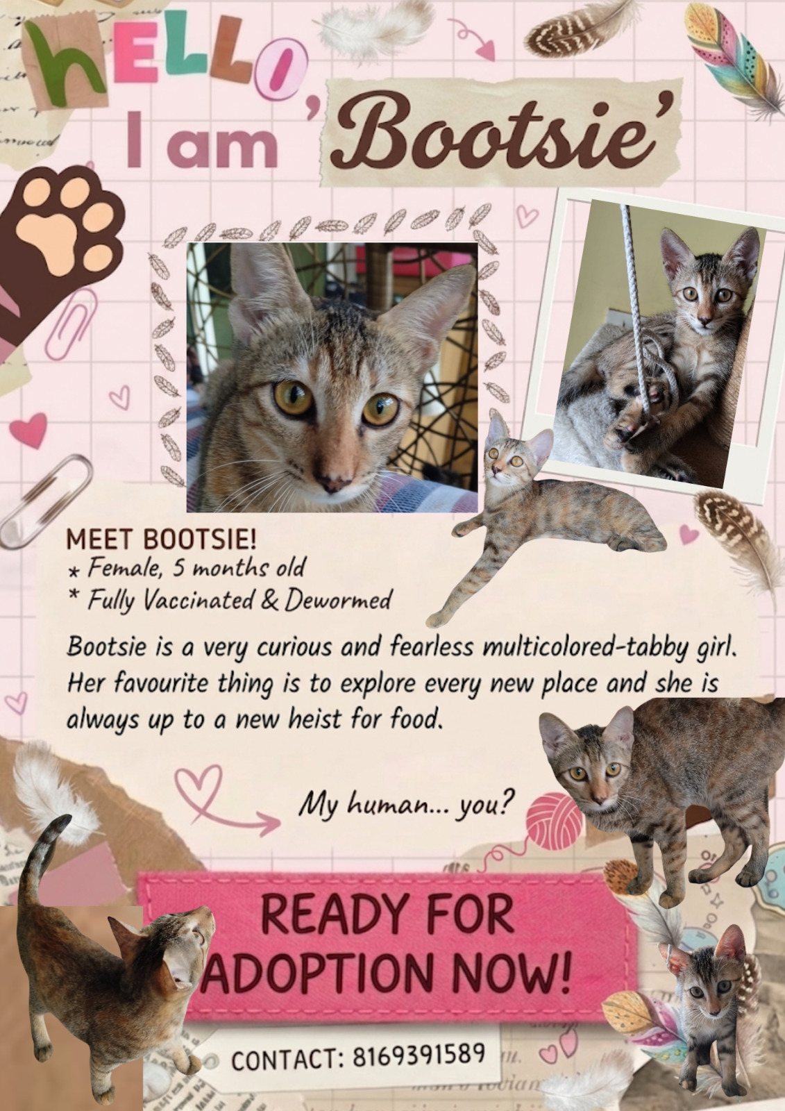 Bootsie