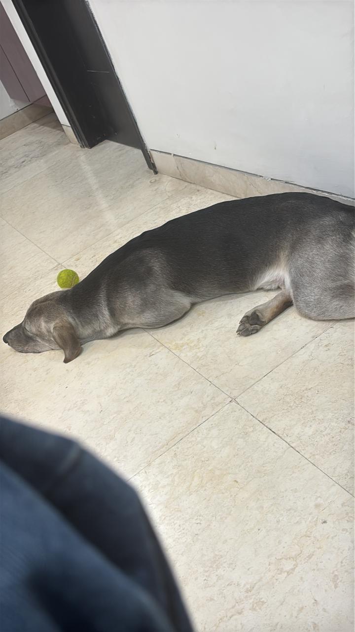 Cisco